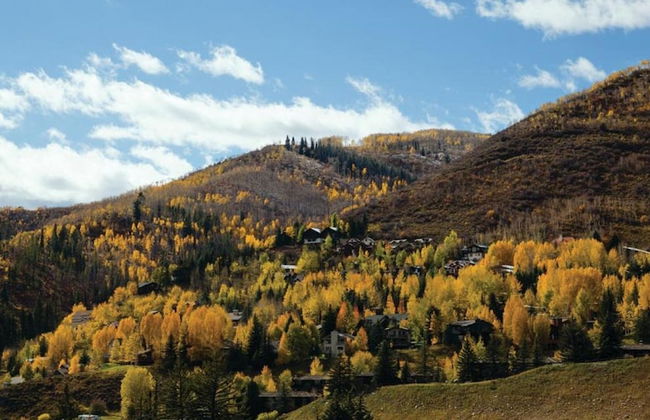 Aspen at Streamside at Vail - Foto 39