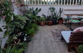 Beach Life Carabassi Beach Gran Alacant - Photo 16