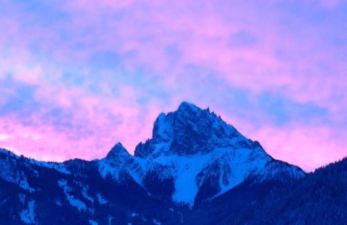 Berggasthaus Agritur Moserhof - Photo 37