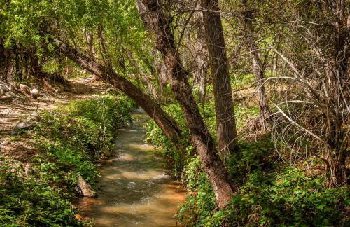 Myrinn-Hobbit Cottage on the Creek Storybook Stay - Foto 41