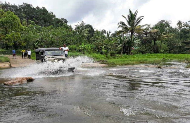 Tour privato delle cascate di Munnar in 4x4 - Foto 8