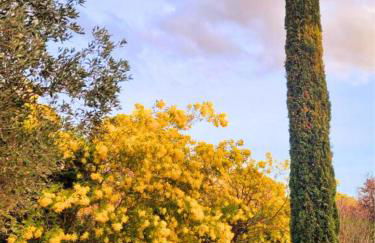 Joli mas "Rêve de lune" en plein coeur du Luberon - Foto 61