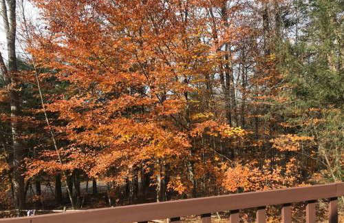 Spacious Catskills Home with Covered Hot Tub - Foto 15