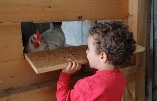 Spisserhof - Photo 15