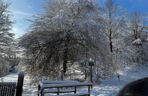 FeHaus Weltwald Harz - Foto 39