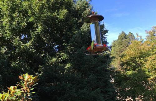 West Linn Relaxing Entire Home WiFi TV Yard BBQ Eateries - Foto 12