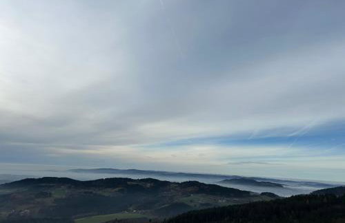 Ciao Fewo Birkenwald 你好白桦林民宿 - Foto 25