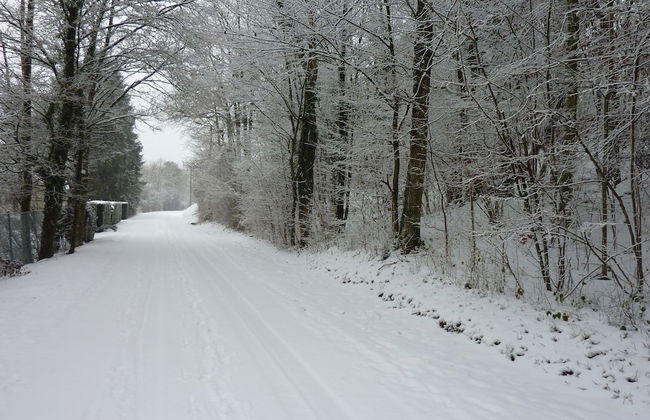 Cozy Escape in Bohon - Foto 25