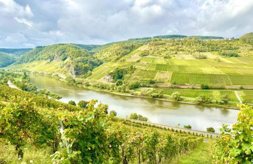 RiversideMosel Burg FREE Netflix PrimeVideo eBikeParking - Foto 26