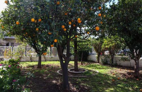 Nice house in Euboea - Foto 23