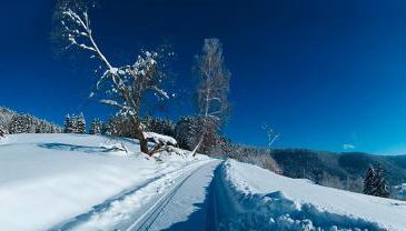 Landhaus Sackmann - Foto 3