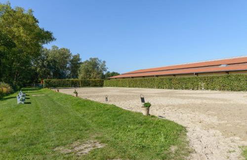Cozy Holiday Home on a Horse Farm in the Luneburg Heath - Foto 81