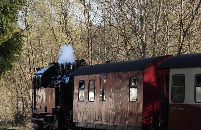 Doppelhaushalfte in Hasselfelde - Foto 21