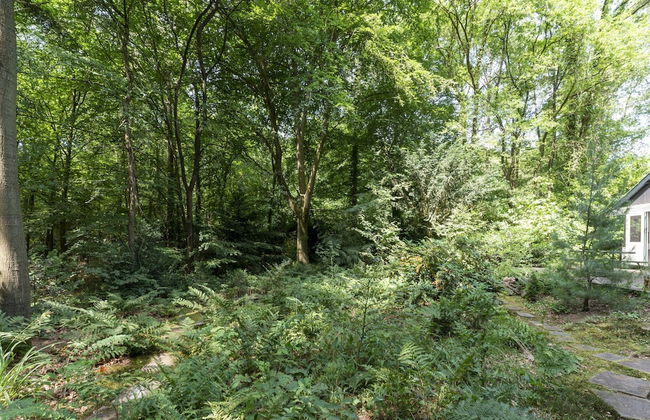 Holiday Home in Epse With Sauna - Foto 40