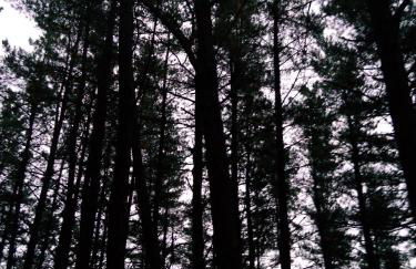 Monte Baserria - Foto 17