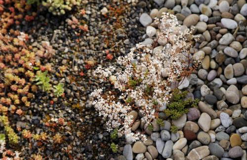 Barrierefreie Ferienwohnungen am Wasserturm Landau - Südpfalz - Foto 28