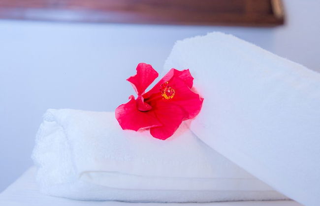 Sekku Villa - Photo 9