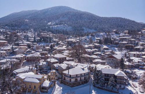 Cave Chalet Parnassos - Foto 28