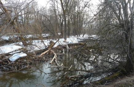Ferienwohnung Vogel - Foto 24