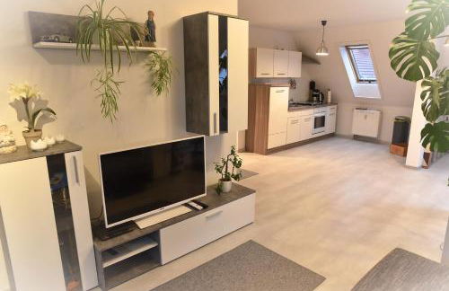 Ferienwohnung und Apartment Löbau, Stadt- und messenah - Foto 1