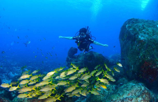 Fernando de Noronha Beginners Scuba Diving Lesson - Foto 4