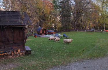 Apartament Buczyna - Foto 19