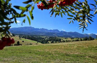 Góralska Chatka 2 Highland Cottage - Split AC, Jacuzzi, Sauna, Private parking, Mountains View, Garden, Zakopane - Foto 66