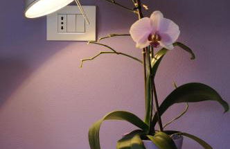 Casa LuceSole - Photo 65