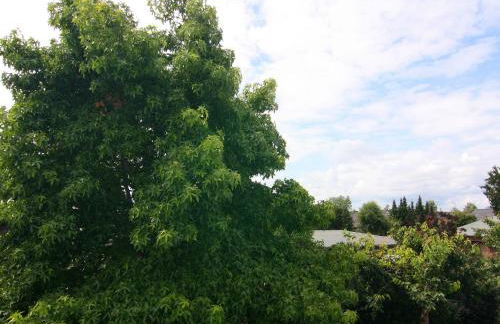 Moderne Ferienwohnung in Berlin Mahlsdorf - Photo 27