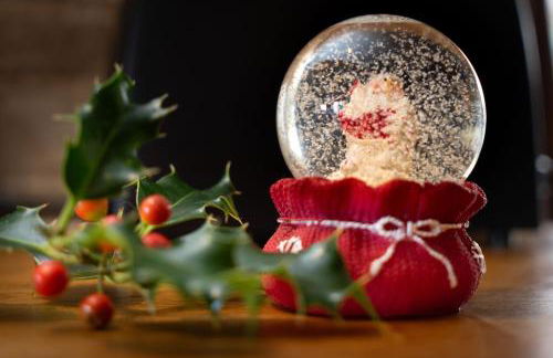 Dolgoy Coach House Loft - Photo 37