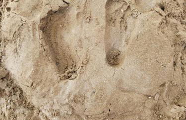 Apartment Mare45 - 10 minutes walk from the beach with one private ombrella and two sun-beds - Foto 13