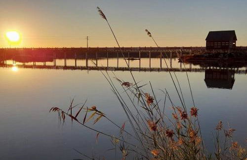 Casa caretta caretta - Foto 28