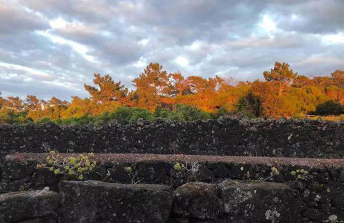 Casa 3 Picos 1 - Photo 24