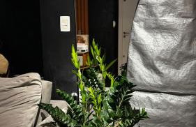 Apartamento Oktoberfest - Foto 27