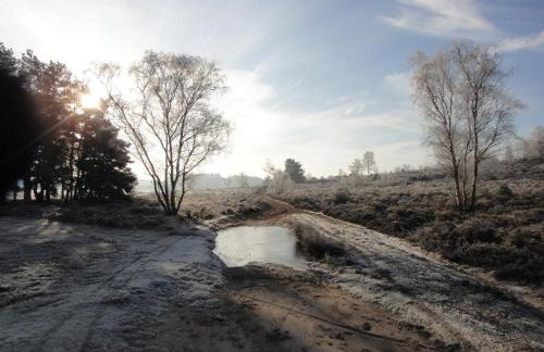 The Old Cook's House - Foto 24