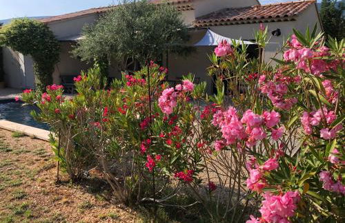 Villa de charme à Cucuron au pied du luberon - Foto 67
