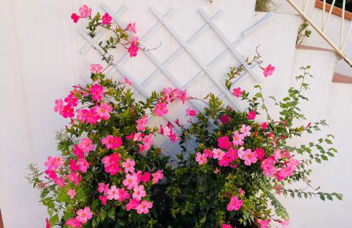 Ti racconto il mare - Foto 27