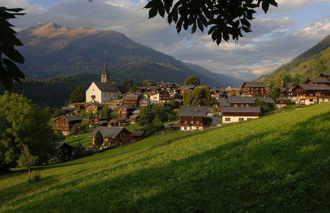 Aragon T100 - Foto 50