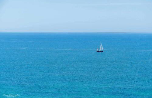 Apartamento Ocean View - Foto 40