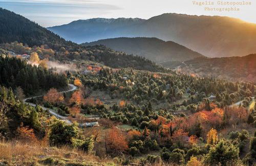 Marina's Stone Cottage - Foto 45