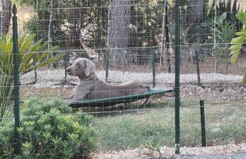 Villa Marna Bianca - Foto 38