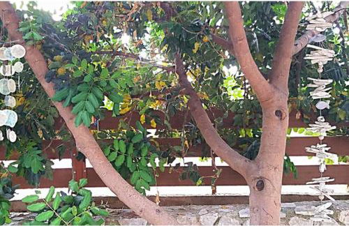 Top of the hill in Drepano-Nafplio, Beautiful view - Foto 73