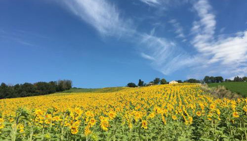 Casale dei Cinque Colli - Foto 4