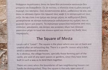 ΜΕΣΤΑ - ΠΛΑΤΕΙΑ - Foto 36