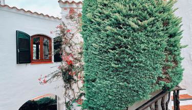 Sa caseta de Fornells - Foto 2