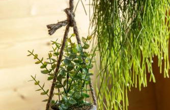 L'Oasis des Coccinelles - Foto 57