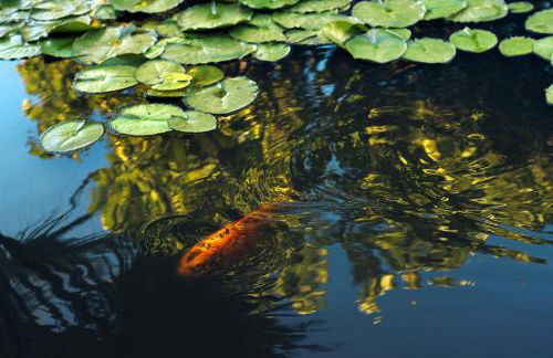 Apartments Finca El Rincón - Foto 48