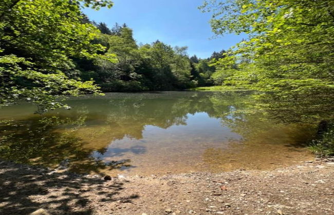 Gemutlicher Ruckzugsort in Olsberg-elpe - Foto 27
