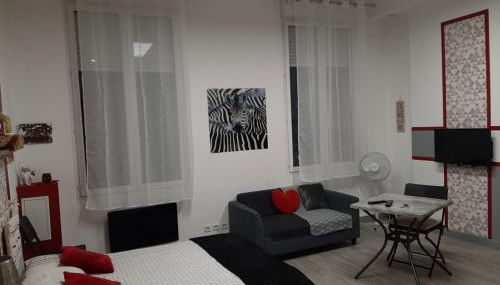 Appartement T1 Hyper Centre place de la Victoire - Foto 3