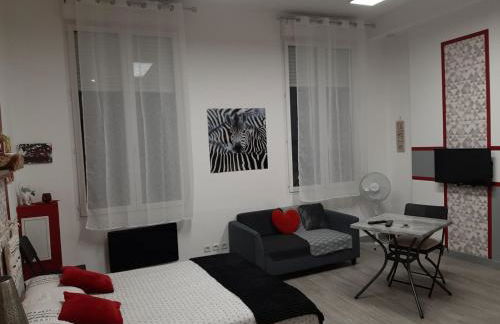 Appartement T1 Hyper Centre place de la Victoire - Foto 3